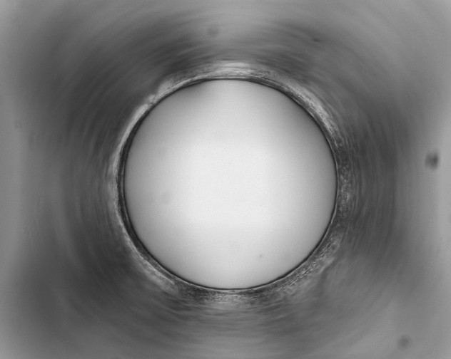 X0000103471475200810031509