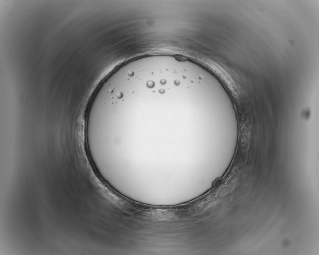 X0000103471476200810031509