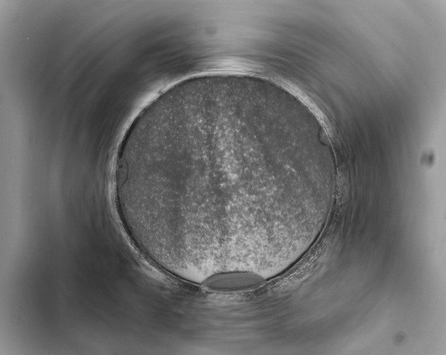 X0000103471477200810031509