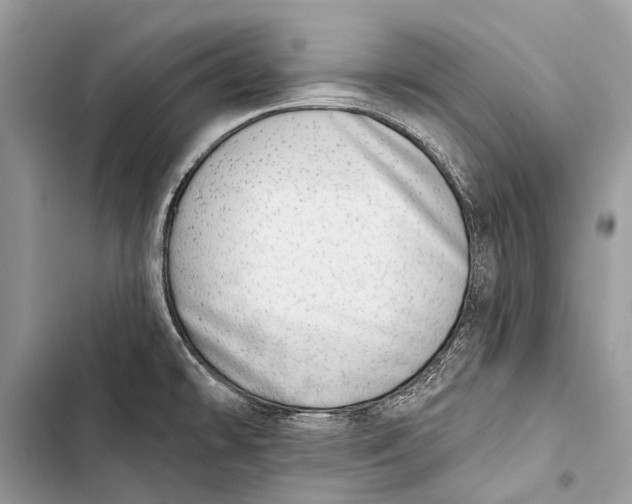 X0000103471478200810031509