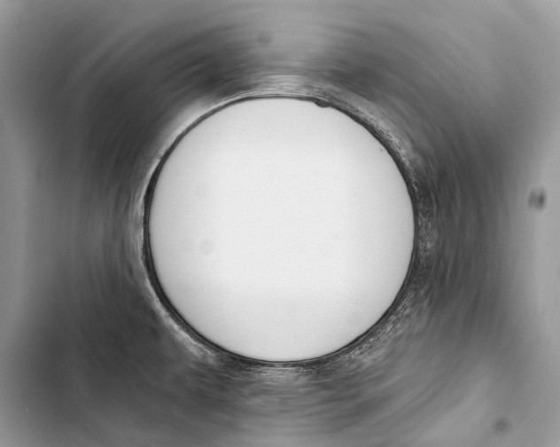 X0000103471479200810031509