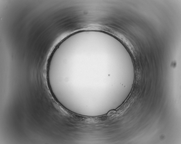 X0000103471480200810031509