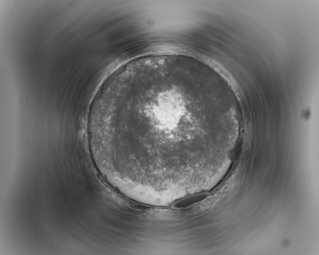 X0000103471481200810031509