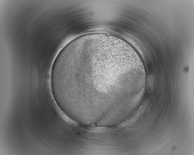 X0000103471482200810031509