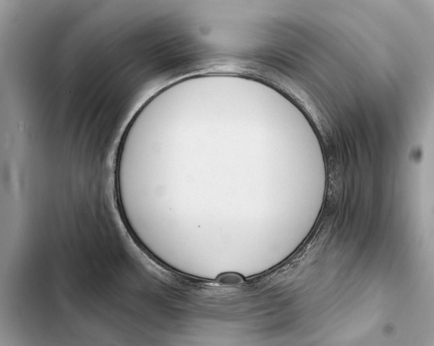 X0000103471483200810031509