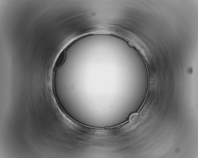 X0000103471484200810031509