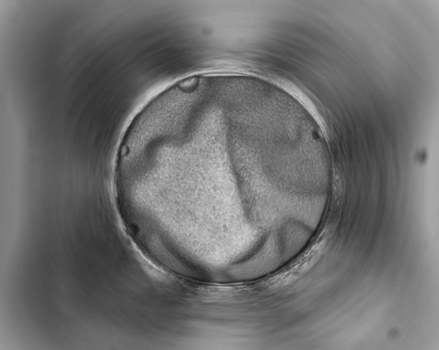 X0000103471485200810031509