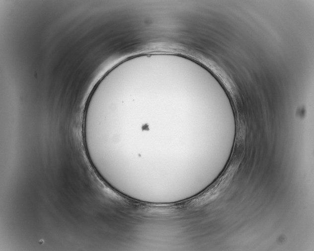 X0000103471486200810031509