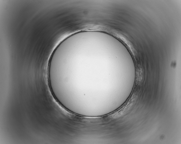 X0000103471487200810031509