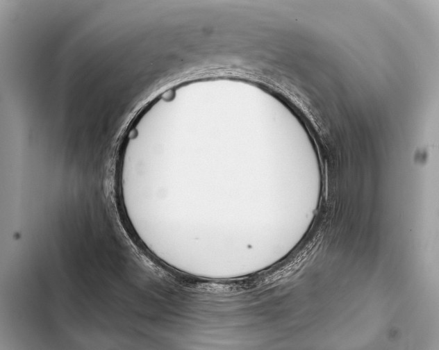 X0000103471500200810031508