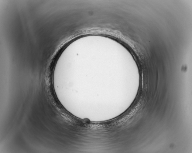 X0000103471501200810031508