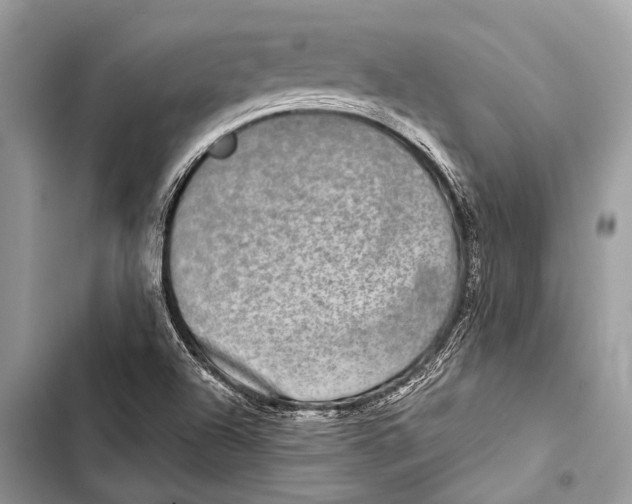 X0000103471504200810031508