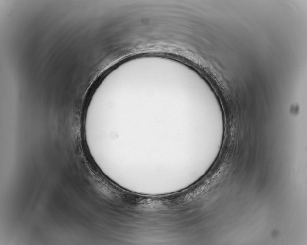 X0000103471505200810031508