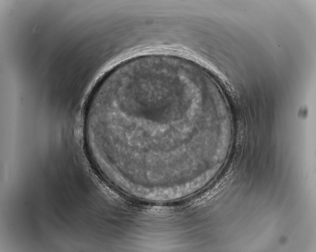 X0000103471506200810031508