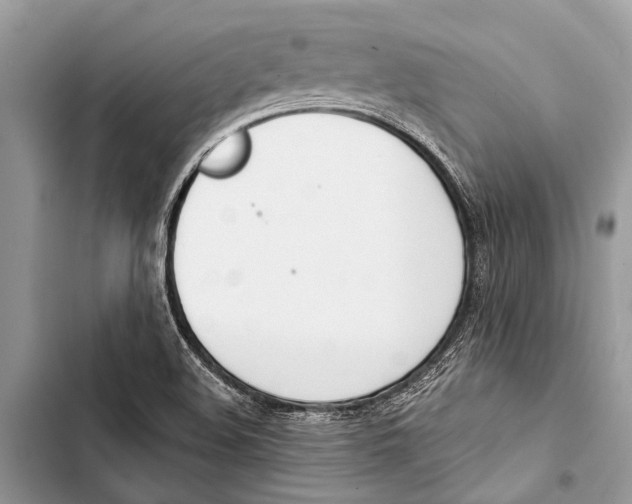 X0000103471508200810031508