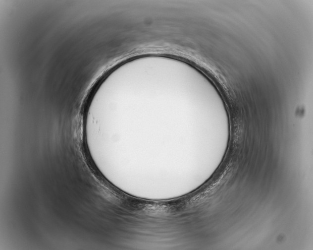 X0000103471509200810031508