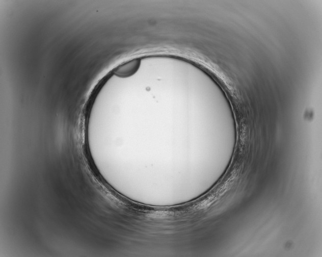 X0000103471510200810031508