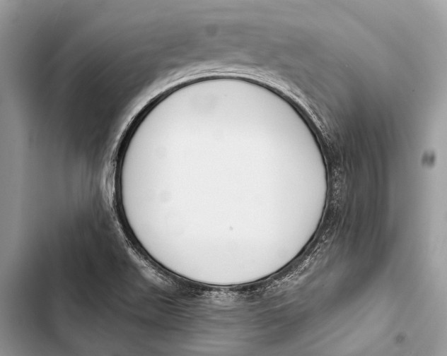 X0000103471511200810031508