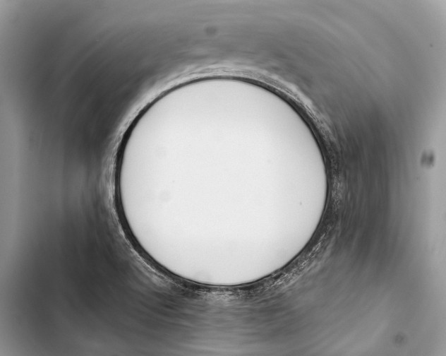 X0000103471512200810031508