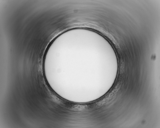 X0000103471513200810031508