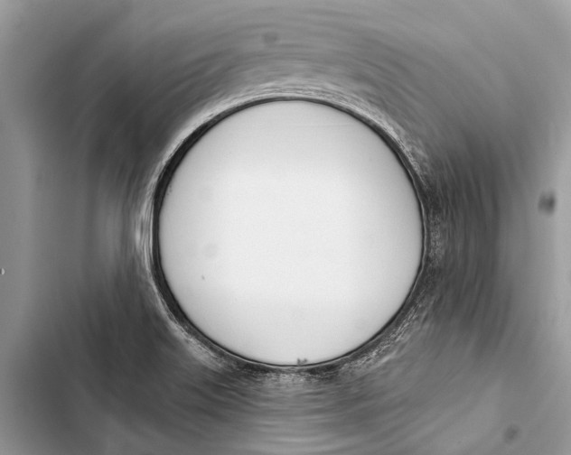 X0000103471515200810031508