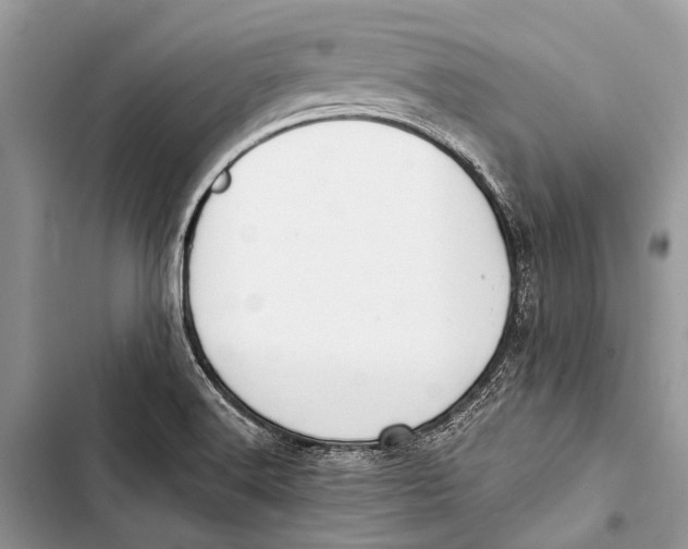 X0000103471516200810031508