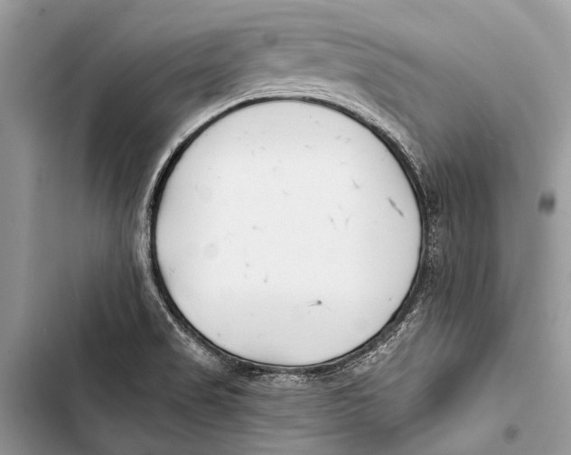 X0000103471517200810031508