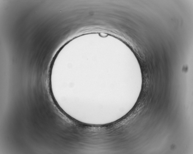 X0000103471518200810031508