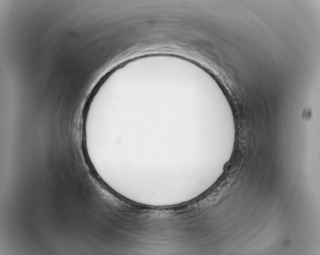 X0000103471519200810031508