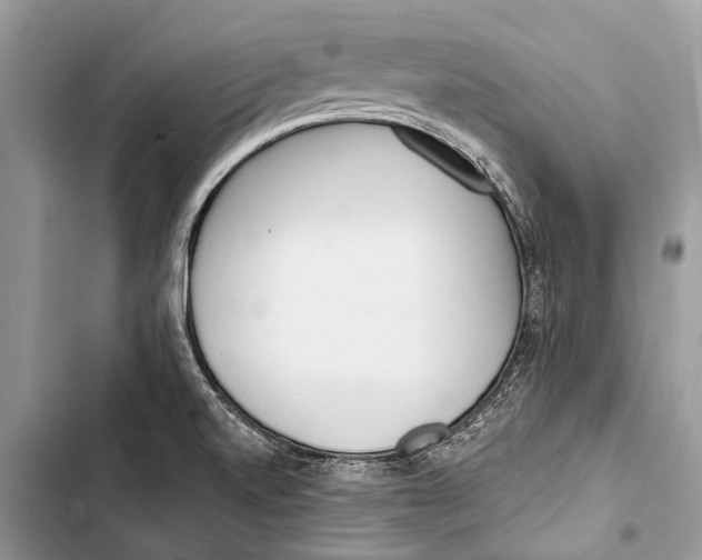 X0000103471520200810031508