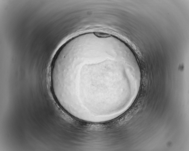 X0000103471522200810031508