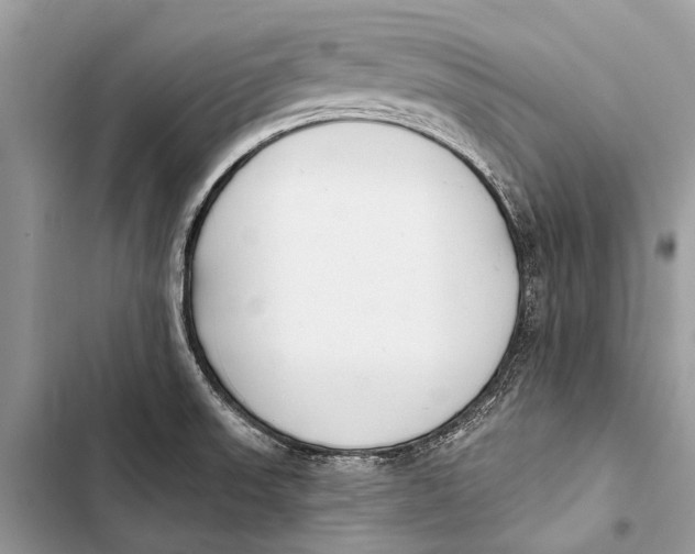 X0000103471523200810031508