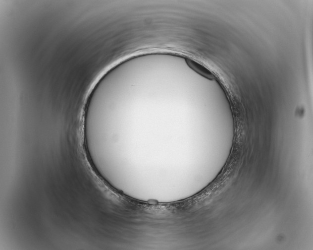 X0000103471524200810031508