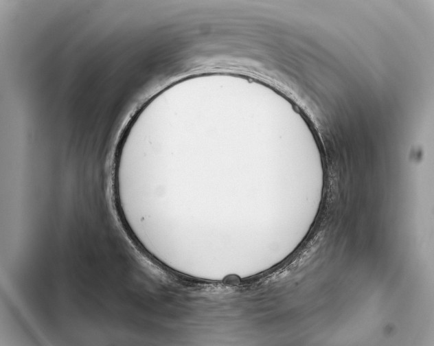 X0000103471525200810031508