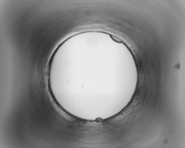 X0000103471526200810031509