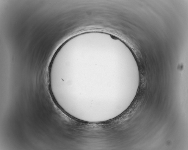 X0000103471527200810031509