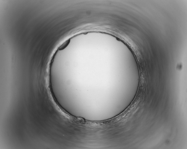 X0000103471528200810031509