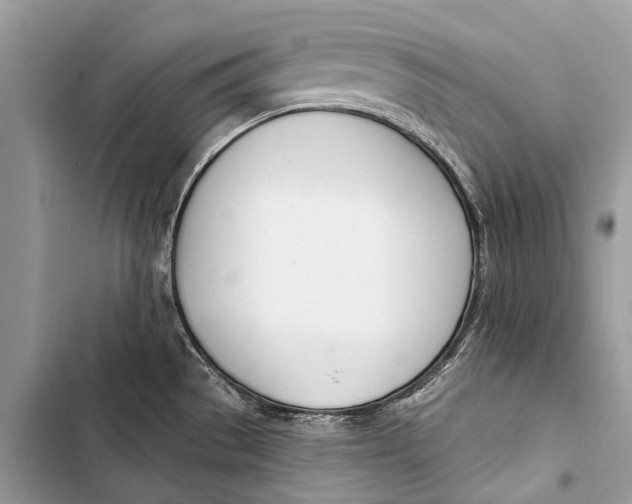 X0000103471529200810031509