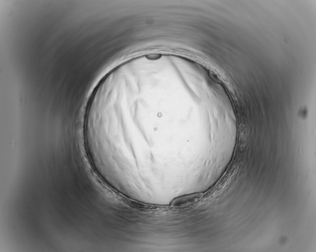 X0000103471530200810031509