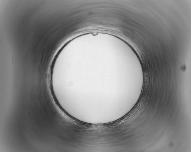 X0000103471531200810031509