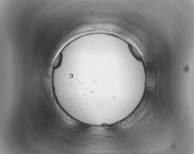 X0000103471532200810031509