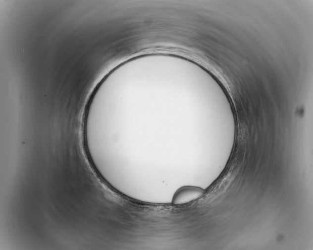 X0000103471533200810031509