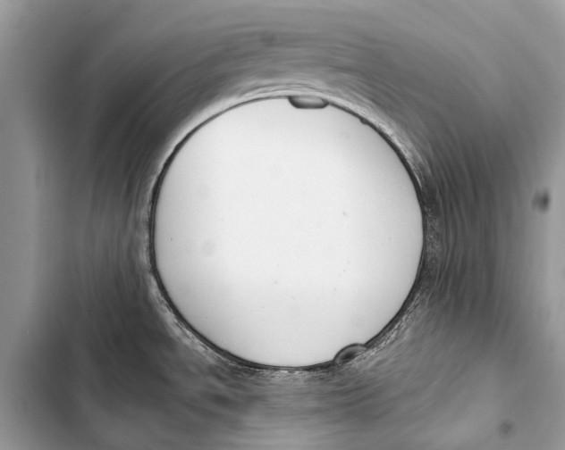 X0000103471534200810031509