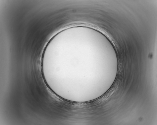 X0000103471535200810031509