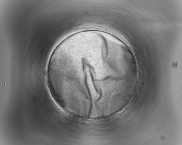 X0000103471536200810031509