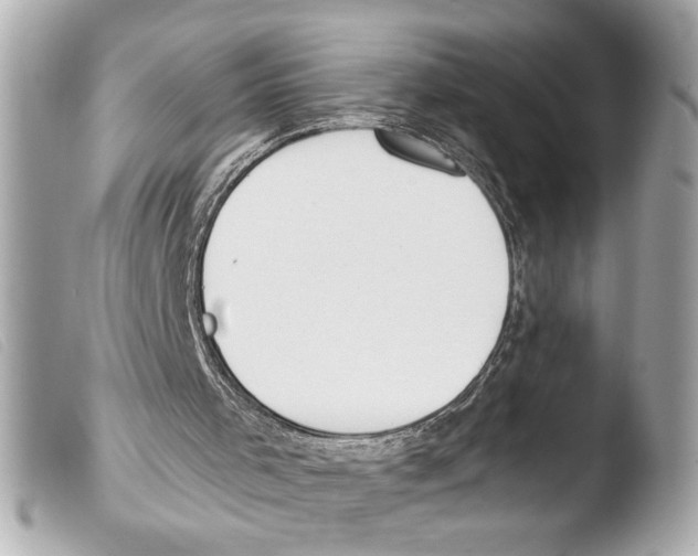 X0000103470001200810100946
