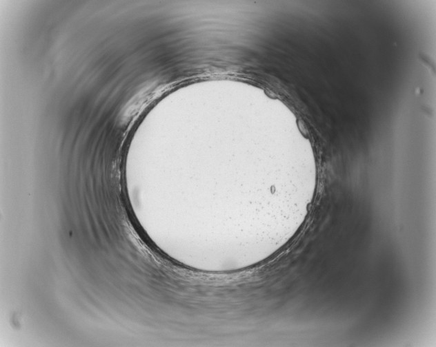 X0000103470002200810100946