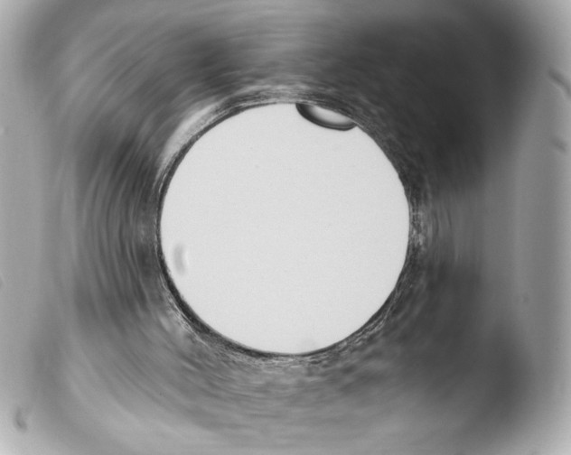 X0000103470004200810100946