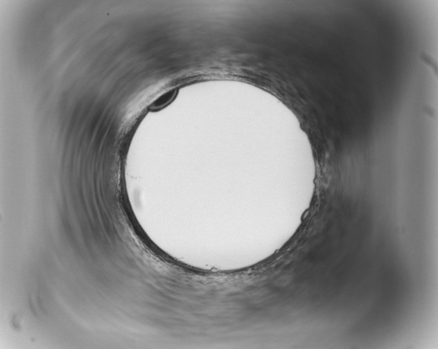 X0000103470005200810100946