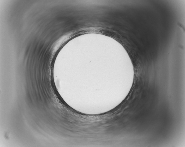 X0000103470006200810100946